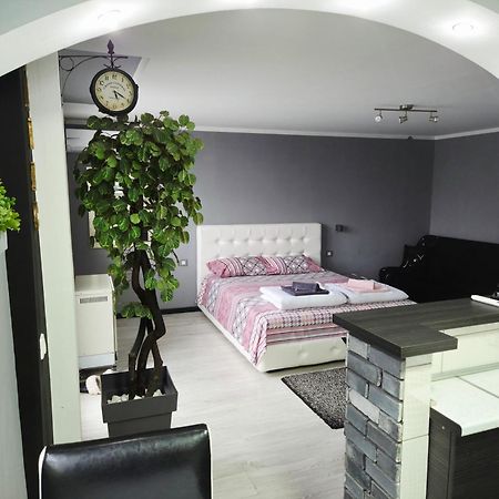 Savic Apartment Center - Parking Free Ni Kültér fotó