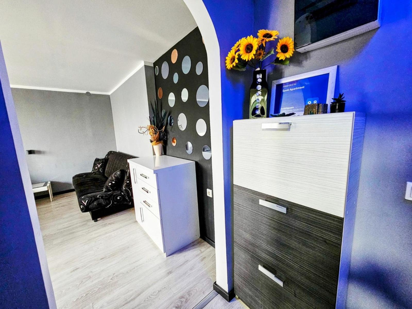 Savic Apartment Center - Parking Free Ni Kültér fotó